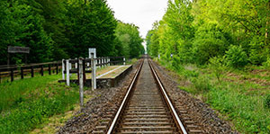 Railroad tracks between green trees running in the distance