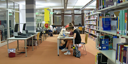 Students learning in the Library