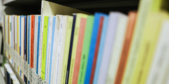 Dissertationen in der Bibliothek Bücher mit der Aufschrift Dissertation auf dem Buchrücken im Bücherregal der Bibliothek